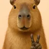capybarraaa1
