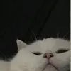 vousjeongmin