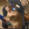 neko4776r