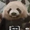 thanhvythichonline