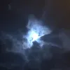 eooe021