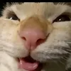 danielmaster129