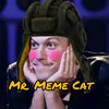 mr_meme_cat_2