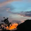 vaniaoniao