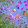 bdws_05