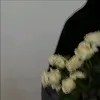 yru819