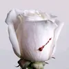 user789648290