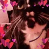 shysinger0011