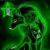 lalo.andres.salaz1