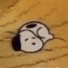 beans_jeans
