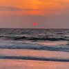 rainey_627