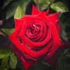 mariajudite43