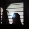 sunnybabe.1998
