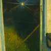 user751206138