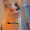 _wz.ebexinh