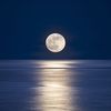 moonlight_02112029