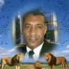 haroldoteixesilva1