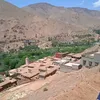 mohamedibra06