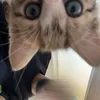 fufuu_2