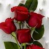weza.222