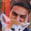 dybalasmonobrow