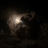 alloosh72