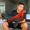 quang_ga_da_72
