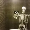 paperskeleton69