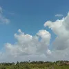 su.nhi299