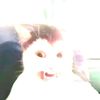 pm_hzz
