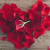 myrlsmt1239