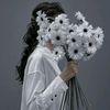 sherifaahmed22