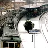 ramazankaraca713