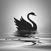 7black_swan