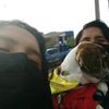 milagrosalegrepacompia