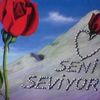 Cihan  ❤ 67_ ❤ 67