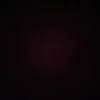 randomaccount04041