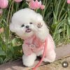 neopetsbillionaire