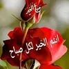 haideralwaeli14