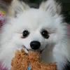 rachelljoyce