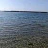 harenoumi
