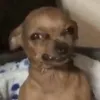 crumblecoo_chris