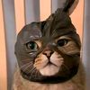 _prei_sambatt