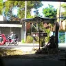 vuphan023