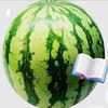 ukrainian_watermelon