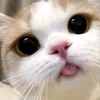 moodsad99_