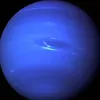 neptunauta