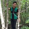 kittiphong792