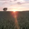 krzysiekzulawy0