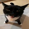 tiktok_is_fun5022